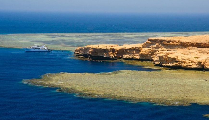 Ras Mohamed Snorkeling Trip