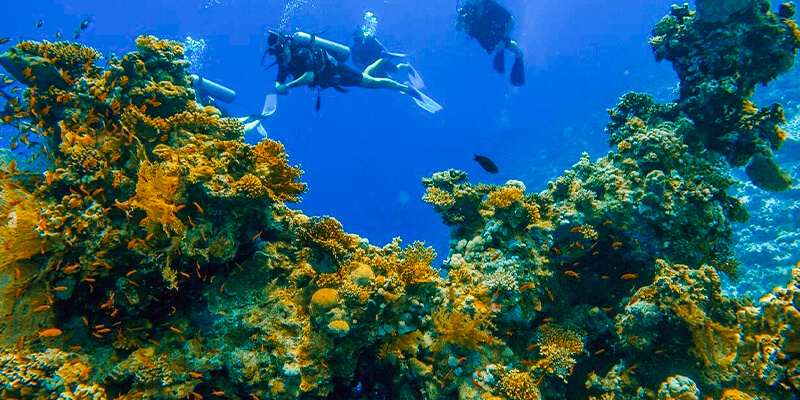 What to do in Hurghada