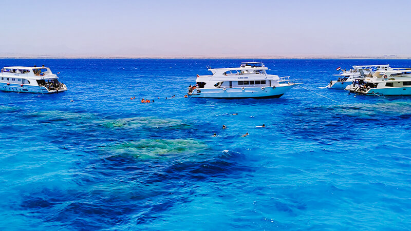Snorkeling in the Red Sea