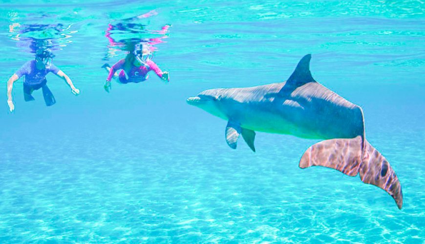 Hamata Island Snorkeling Trip
