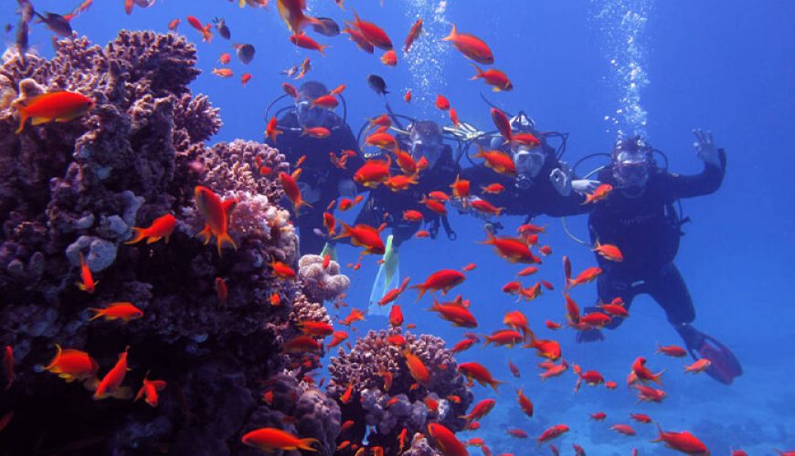 Mahmya Island Snorkeling Trip