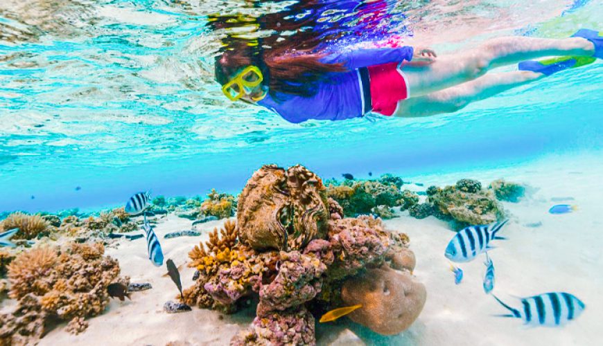 Snorkeling Trip at Port Ghalib from Marsa Alam
