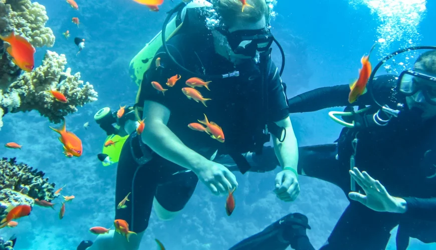 Tiran Island Snorkeling Trip